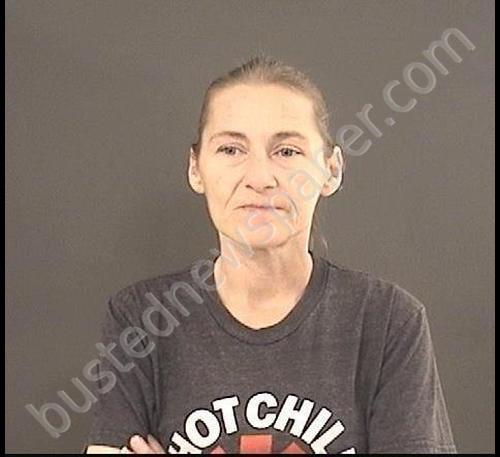 BRADSHAW, ALINA RENEE #, Roanoke County, Virginia - 2020-03-14 18:39:00