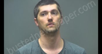 ANDREW SCOTT ROYER | 2020-03-15 19:19:00 Isabella County, Michigan Booking