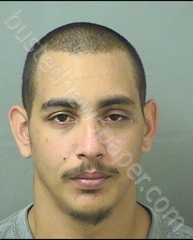 HANNA, TRAVIS AJODHIA #, Palm Beach County, Florida - 2020-03-16 00:18:00