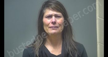 LOUANN MARIE PHILO | 2020-03-16 18:15:00 Isabella County, Michigan Booking