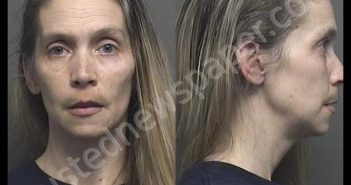 TIMMONS,REBECCA ILENE | 2020-03-17 15:06:00 Saline County, Kansas Booking
