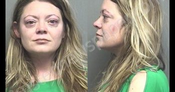SNELL,KRISTY NICOLE | 2020-03-17 22:10:00 Saline County, Kansas Booking