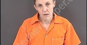 BRUMLEY, PATRICIA LYNN | 2020-03-18 19:00:00 Roanoke County, Virginia Booking