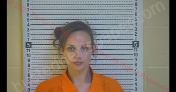 LYDIA MARIE ROLLER | 2020-03-18 15:59:00 Taylor County, Kentucky Booking