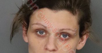 KAITLIN NICOLE CRINER | 2020-03-22 10:48:00 Anderson County, South Carolina Booking
