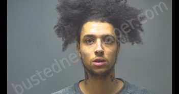 JAMAL JERMAINE ARNINK | 2020-03-22 02:27:00 Isabella County, Michigan Booking
