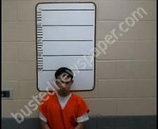 AUNGSUN NAYWIN | 2020-03-22 03:43:00 Morgan County, Tennessee Booking