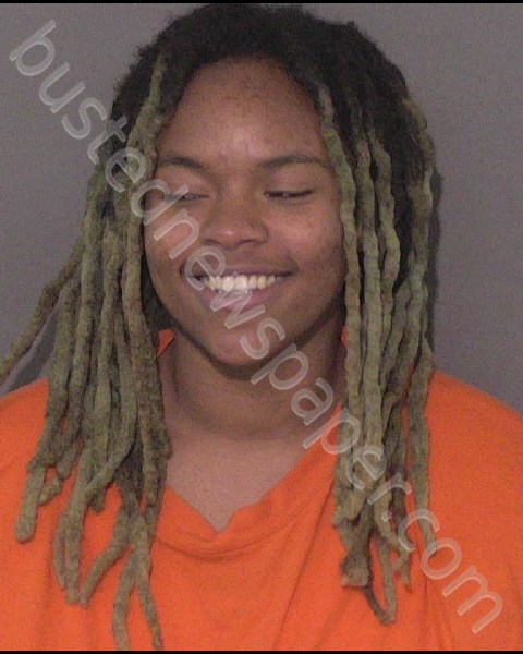 HERD, NALIYAH TEKAYLA #, Union County, North Carolina - 2020-03-23 16:09:00