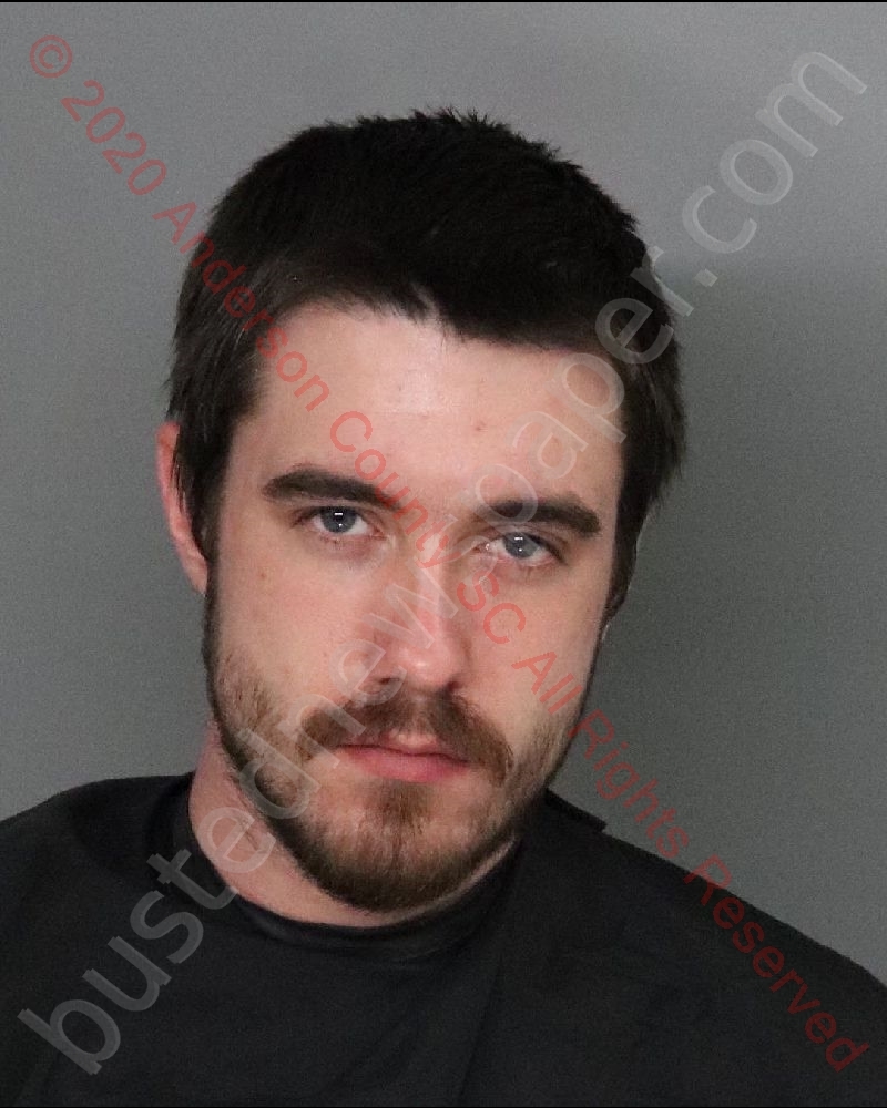 DYLAN LEON HUNSINGER #, Anderson County, South Carolina - 2020-03-23 02:40:00