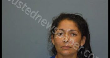 SALDANA, JUANITA | 2020-03-24 00:38:00 Dewitt County, Texas Booking