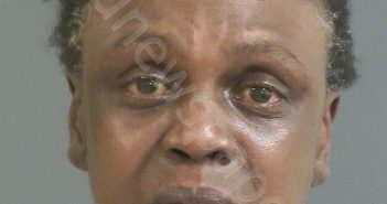 <B>JOHNSON</B>, <B>KIMBERLY</B> M #, Charleston County, South Carolina - 2020-03-27 10:16:00