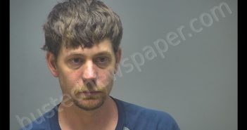 BRENT MICHAEL SIMMER | 2020-03-28 22:27:00 Isabella County, Michigan Booking