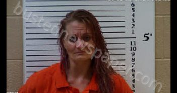 SOWERBY, NICHOLE MICHELL | 2020-03-30 20:15:00 Cherokee County, North Carolina Booking