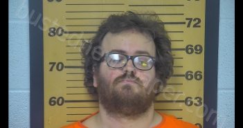 MATTHEW AARON PROVONSHA | 2020-03-31 17:38:00 Ottawa County, Ohio Booking