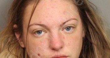 LAY, RACHEL LYNN | 2020-04-01 10:17:00 Jefferson County, Alabama Booking