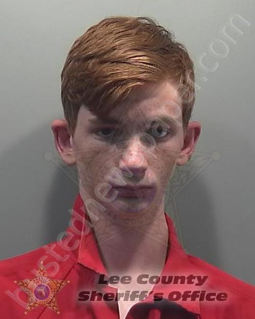 HORN, HAWK BRENDON JAMES #, Lee County, Florida - 2020-04-01 17:11:00