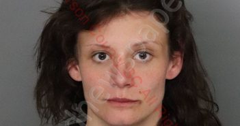 HANNAH NICOLE WATERS | 2020-04-02 22:58:00 Anderson County, South Carolina Booking