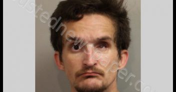 JACOB, JARZYNKA ALLEN | 2020-04-03 Leon County, Florida Booking