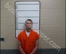 JUSTIN ARNOLD | 2020-04-03 15:14:00 Morgan County, Tennessee Booking