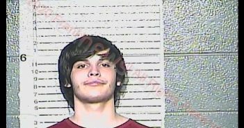 ETHAN EZKIEL LARSON | 2020-04-05 07:19:00 Franklin County, Kentucky Booking