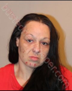 MAREDA ELIZABETH KIRBY | 2020-04-05 Southwest Regional Jail, Virginia Booking