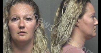 BAEZ,AMY BARBARA | 2020-04-06 14:14:00 Saline County, Kansas Booking