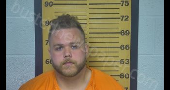SETH M ONEAL | 2020-04-07 12:59:00 Ottawa County, Ohio Booking