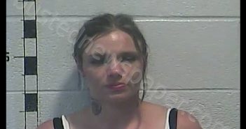 AMBER THELMA MAY WALDRIDGE | 2020-04-09 05:21:00 Shelby County, Kentucky Booking