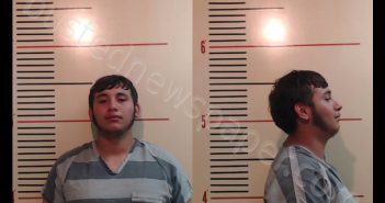 MURRILLO, GERARDO | 2020-04-11 Parker County, Texas Booking