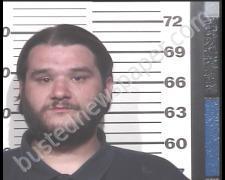 MARK <B>LANE</B> #, <b>Henry</b> County, Tennessee, Henry County, Tennessee - 2020-04-11 21:44:00