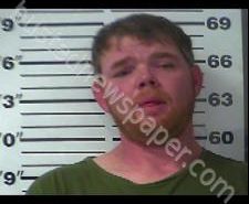 BRIAN HUGHES | 2020-04-13 18:12:00 Gibson County, Tennessee Booking