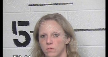 PALLESI, LINDSAY JEAN | 2020-04-13 Chase County, Kansas Booking