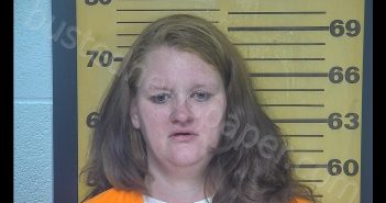 NAOMI J GARDINER | 2020-04-13 12:14:00 Ottawa County, Ohio Booking