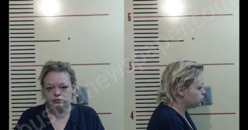 BROOKS, SARAH CATHERINE | 2020-04-15 Parker County, Texas Booking