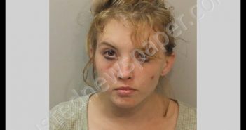 HARDEMON, REBECCA LYNN | 2020-04-16 Leon County, Florida Booking