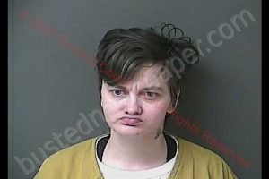 AMANDA MICHELLE BURDINE | 2020-04-16 15:12:00 Howard County, Indiana Booking