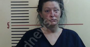 SEARS, EVAN MICHELLE | 2020-04-16 Parker County, Texas Booking