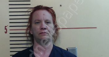 WRIGHT, JENNIFER LYNN | 2020-04-16 Parker County, Texas Booking