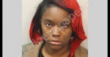 MUHAMMAD, JASMINE G | 2020-04-16 Leon County, Florida Booking