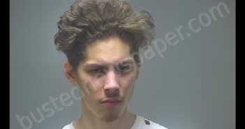 ANDREW MICHAEL VASQUEZ | 2020-04-16 01:28:00 Isabella County, Michigan Booking