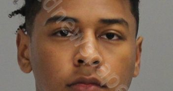<B>LUNA</B> <B>JOHNSON</B>, <B>JUKOREY</B> <B>DESHAWN</B> #, Brazos County, Texas - 2020-04-17