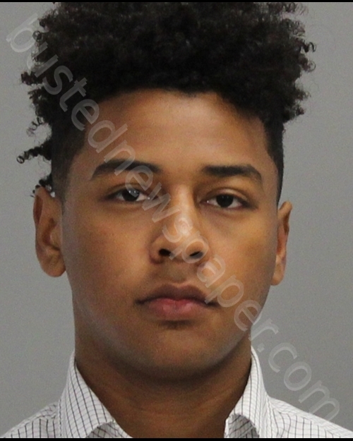 LUNA JOHNSON, JUKOREY DESHAWN #, Brazos County, Texas - 2020-04-17