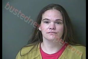 HOLLIE ANN PATTON | 2020-04-17 17:36:00 Howard County, Indiana Booking