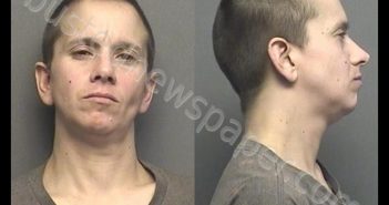TONEY,LESLIE KAY | 2020-04-18 13:30:00 Saline County, Kansas Booking