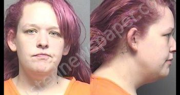 MEYER,JESSICA IRENE | 2020-04-20 21:20:00 Saline County, Kansas Booking