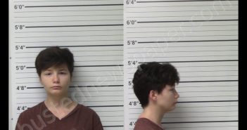 <B>LEMON</B>, <B>HEATHER</B> <B>MICHELLE</B> #, Kerr County, Texas - 2020-04-21