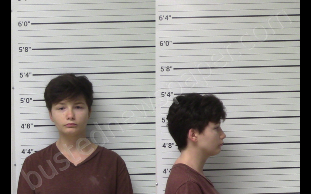 LEMON, HEATHER MICHELLE #, Kerr County, Texas - 2020-04-21