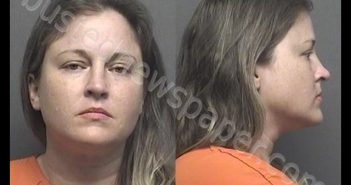 DILLEY,MICHELLE ELIZABETH | 2020-04-21 15:02:00 Saline County, Kansas Booking