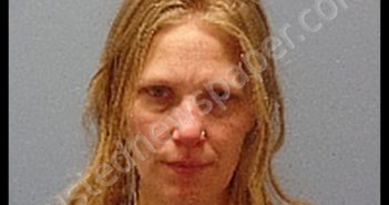 MAZE AMY LYNN | 2020-04-23 Erie County, Ohio Booking