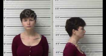 <B>LEMON</B>, <B>HEATHER</B> <B>MICHELLE</B> #, Kerr County, Texas - 2020-04-23